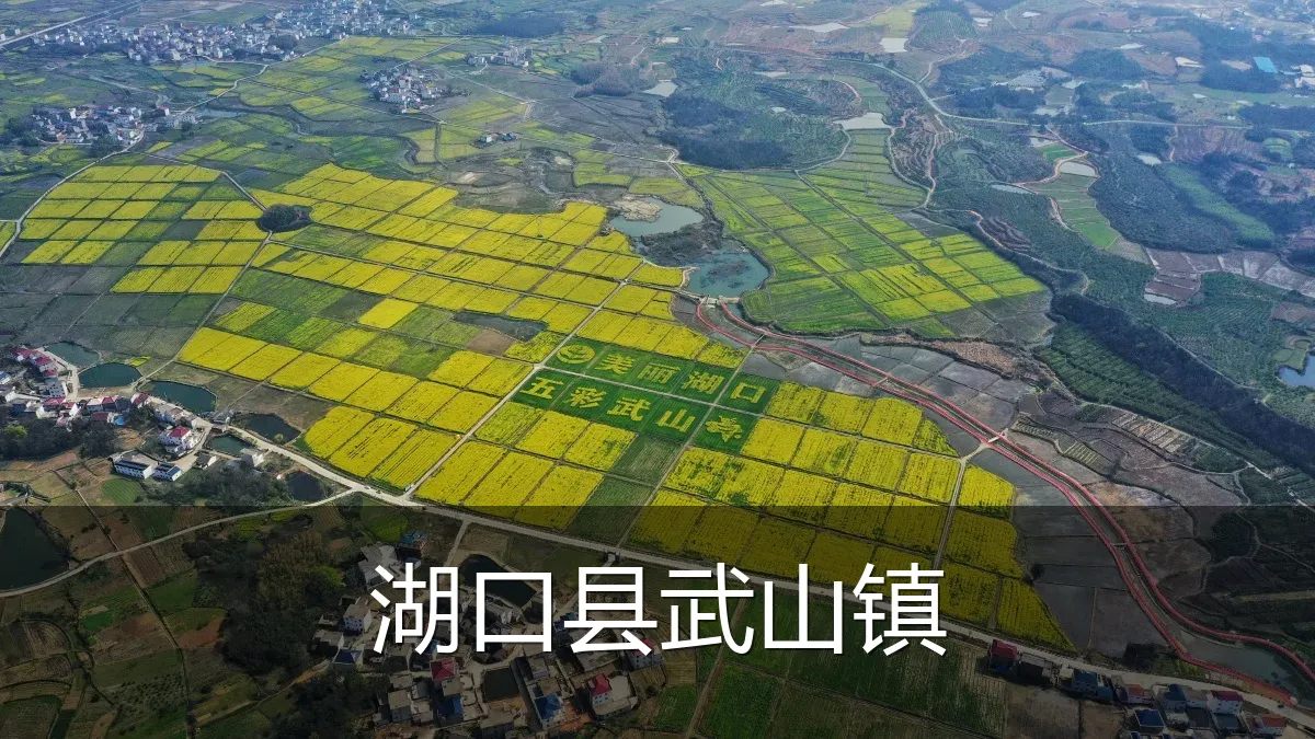 湖口县武山镇